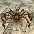 Thumbnail for version as of 16:54, 30 March 2024